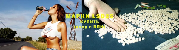 PSILOCYBIN Приозерск