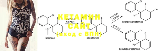 PSILOCYBIN Приозерск