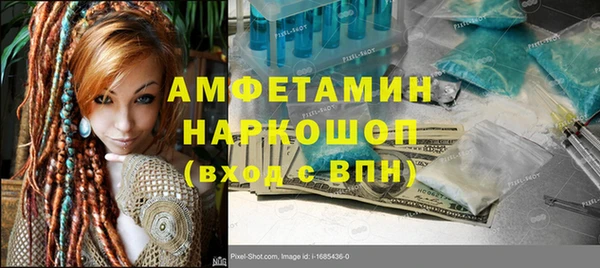 гидра Абаза