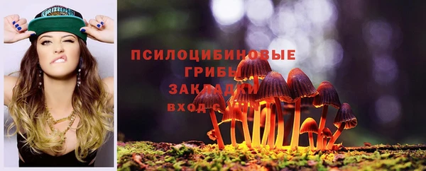 PSILOCYBIN Приозерск