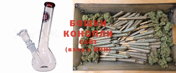 PSILOCYBIN Абдулино