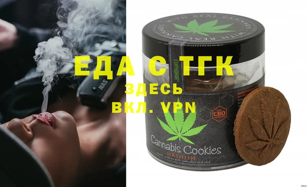 гидра Абаза